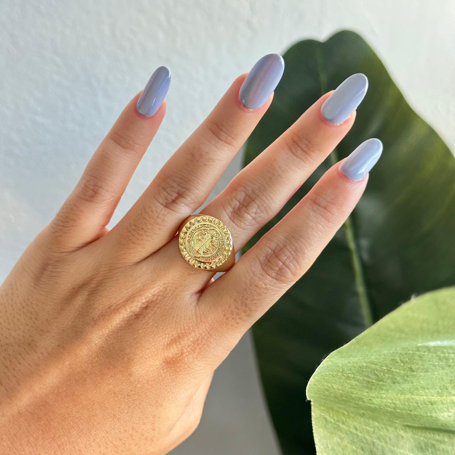 Moneda Ring
