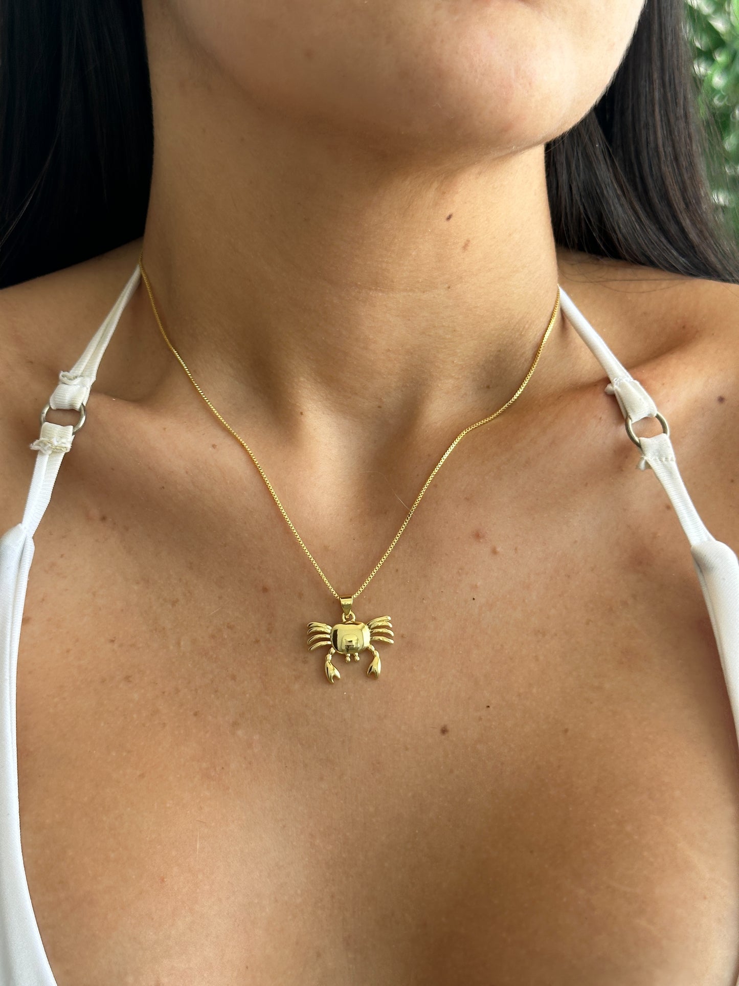 Crab Necklace