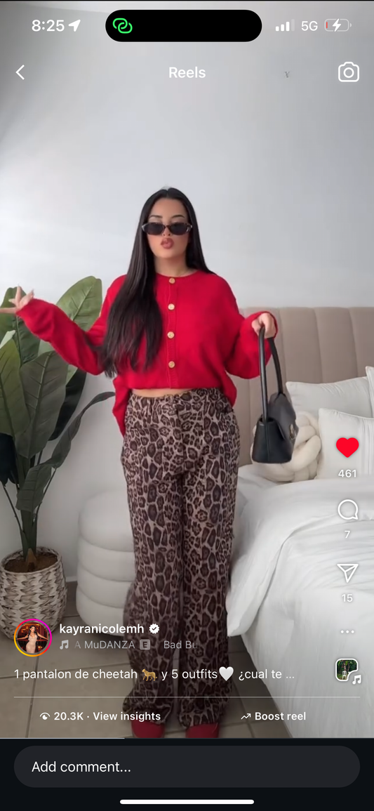 Red Cardigan